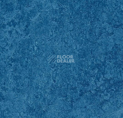 Линолеум Forbo Marmoleum Marbled Authentic 3030 blue фото 1 | FLOORDEALER